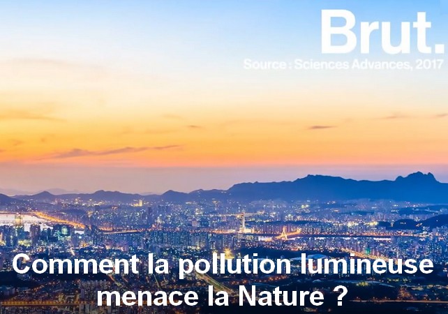 vidÃ©o BRUT &laquo;Comment la pollution lumineuse menace la nature ?&raquo; (1 min 41 sec)